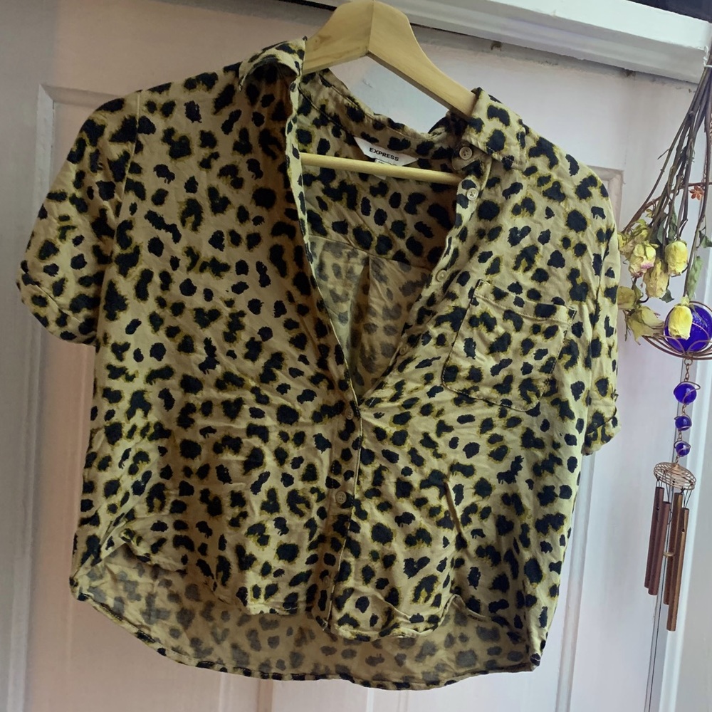 *Express* ~ Button Up Collared Crop Top - image 1